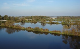 Abb. 1: Blick auf das Ismaninger Teichgebiet mit Speichersee im Hintergrund.